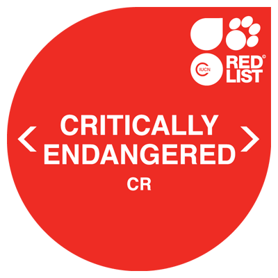 Critically Endangered (CR)