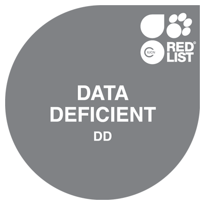 Data Deficient (DD)