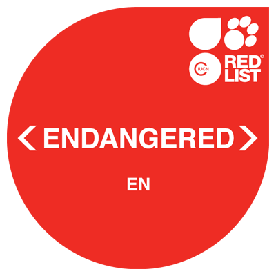 Endangered (EN)