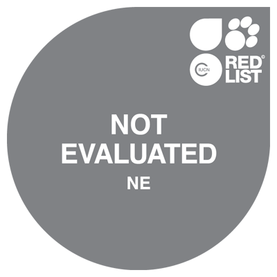 Not Evaluated (NE)