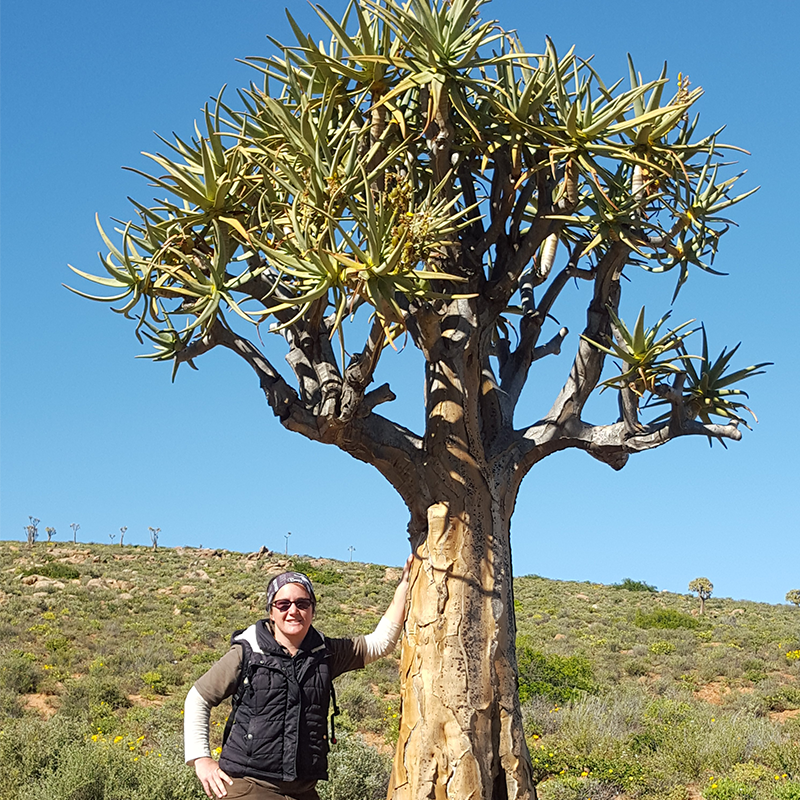 woman leaning on dragon tree